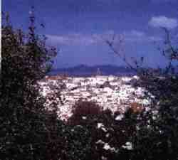 Alcal� de los Gazules..jpg (5528 bytes)