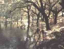 Laguna Negra..jpg (5710 bytes)