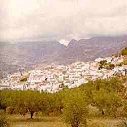 Alcaucin.jpg (5808 bytes)