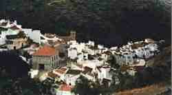 Salares.jpg (4267 bytes)