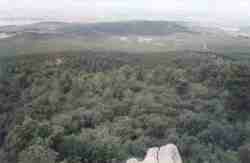 vista2.jpg (3170 bytes)