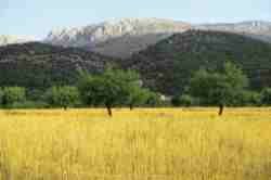 Paisaje.jpg (3183 bytes)