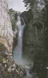 Salto�rganosBorosa.jpg (3445 bytes)