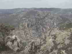 Los �rganos2.jpg (4273 bytes)