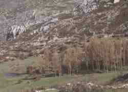 Ca�o del Aguadero Bedmar.jpg (4624 bytes)